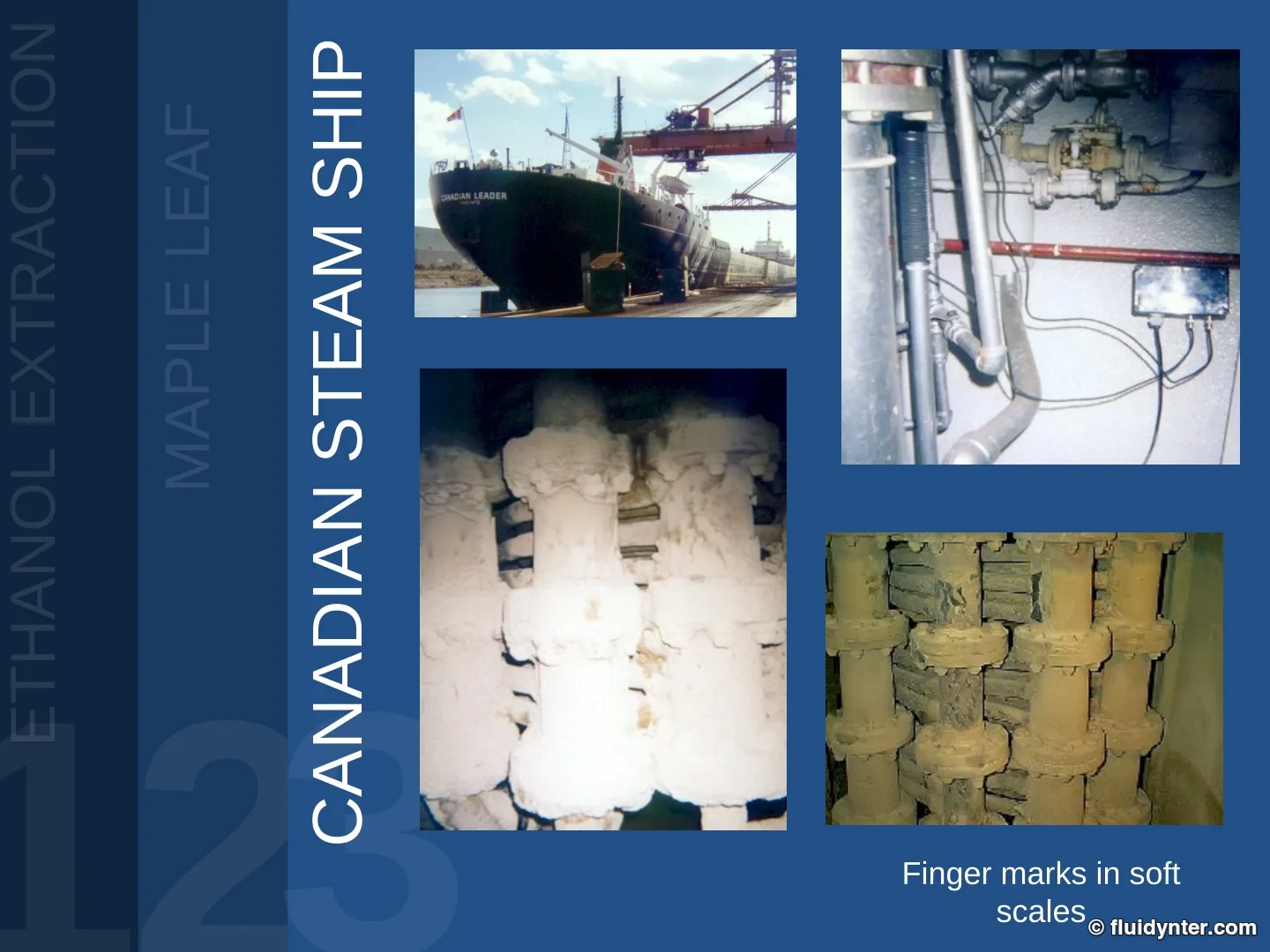 Canadian Steam Ship