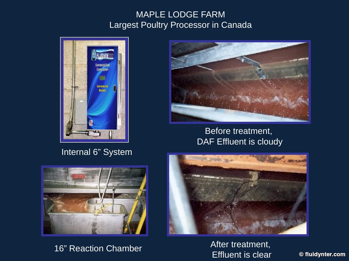 Maple Lodge Farm
